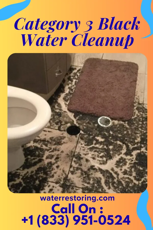Category 3 Black Water Cleanup in Gillett Grove, IA