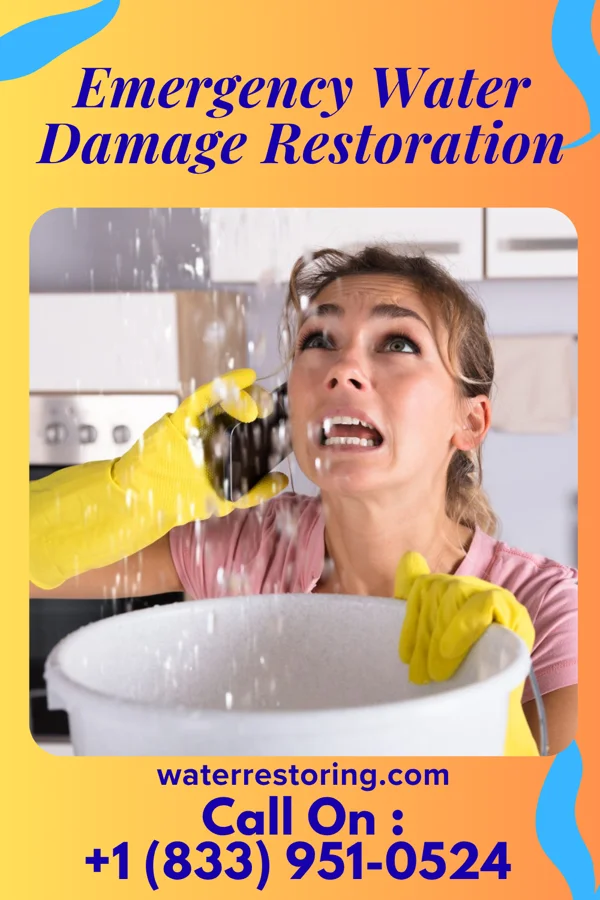 Emergency Water Damage Restoration in Gillett Grove, IA