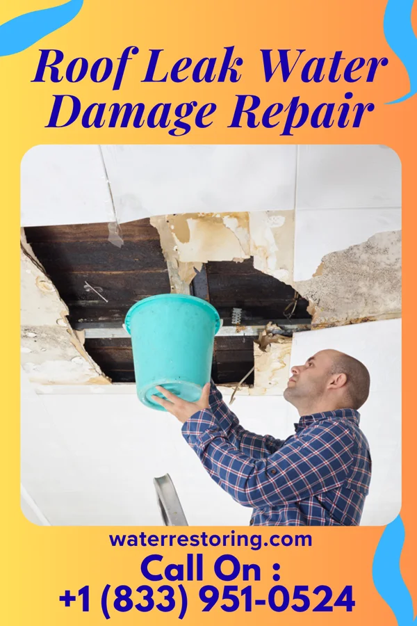 Roof Leak Water Damage Repair in Gillett Grove, IA